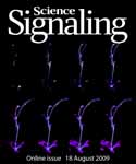2009 Science Signalling Cover